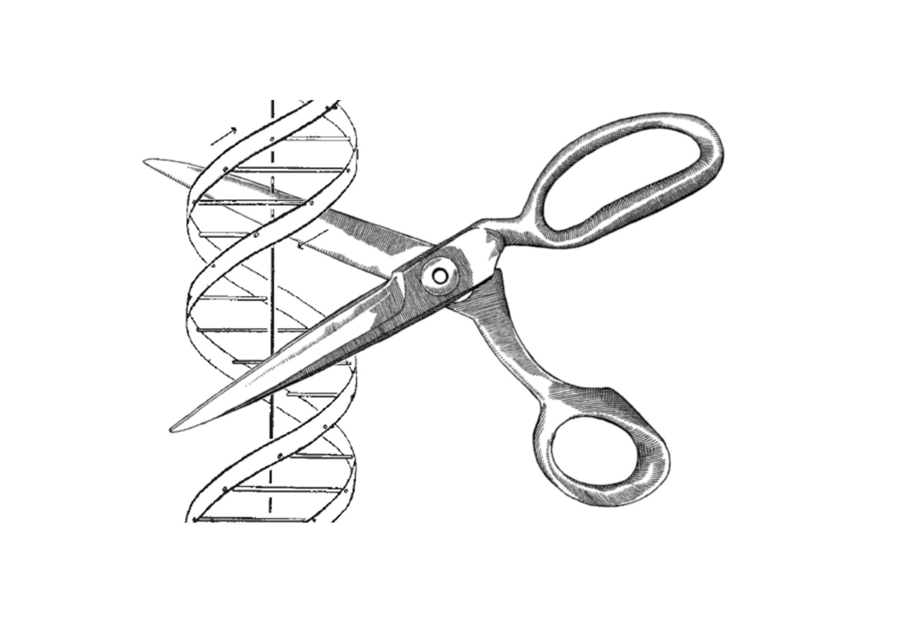 Pretask Lecture 24 (Prof. Szczelkun)