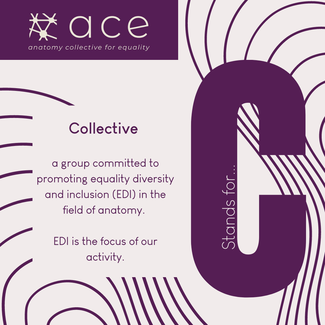 anatomy-collective-for-equality