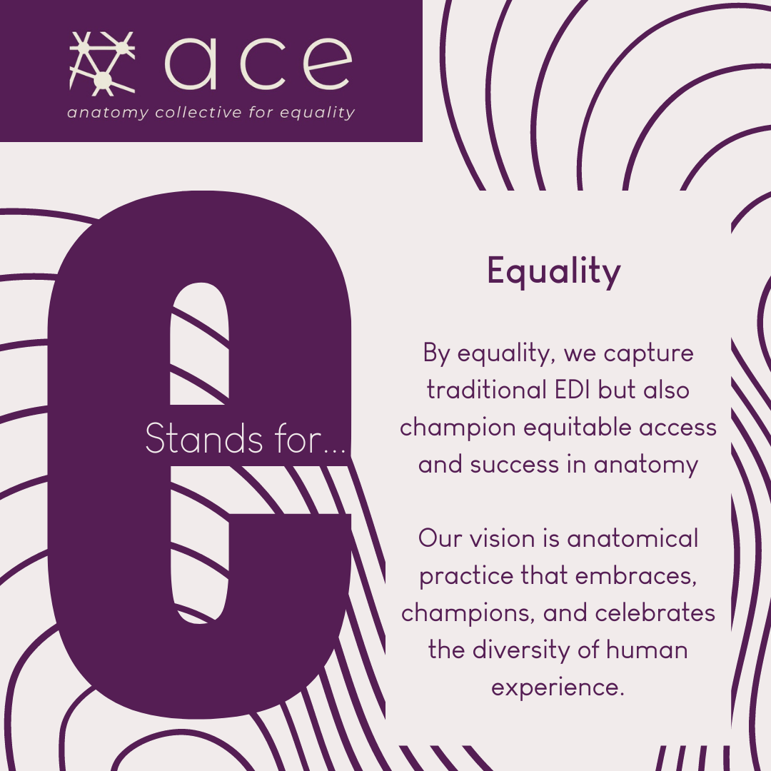 anatomy-collective-for-equality